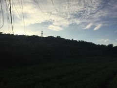 -丹樱生态园