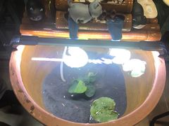 -Ali叔叔的咖啡店