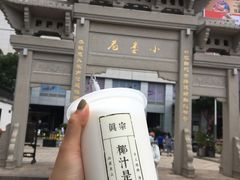 -眞宗·椰汁是大王(小娄巷店)