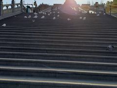 -龙口南山旅游景区