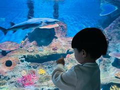 -秦皇岛新澳海底世界