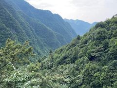 -娄山关景区