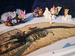 -上海中国航海博物馆