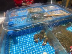 -双合园·海鲜水饺青岛菜(万佳广场店)