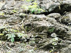 -海口火山口国家地质公园