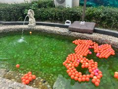 -余姚阳明温泉山庄