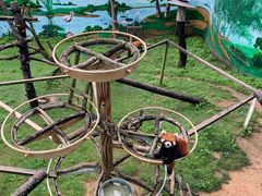 -西霞口神雕山野生动物世界