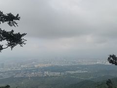 -紫金山山顶公园