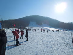 -玉泉威虎山森林公园
