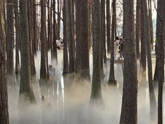 -东湖落雁景区