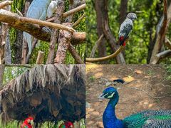 -云南野生动物园