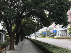 -情侣路