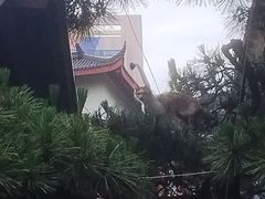 -苏州河梦清园环保主题公园