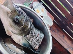 -好灶头妈妈菜·千岛湖土菜地标美食