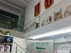 -爱侣宠医·鹦鹉专科·小型哺乳类·异宠专科(灵石路店)