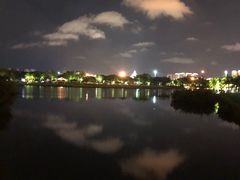 -万绿园