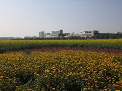 -光明小镇欢乐田园