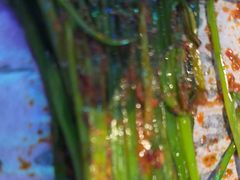 -路边边.炒菜烧烤.音乐餐厅(良乡长虹店)