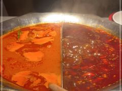 -九鼎轩脆毛肚火锅(三钢里店)