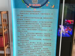 -真棒幼儿识字·阅读(梅江校区)
