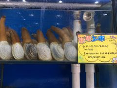 水产区-蚝专家(北滘店)
