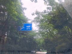 -铁山坪森林公园