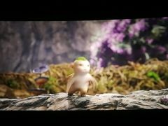 -荣威·上海儿童艺术剧场-停车场
