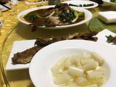 -丁老爷子苏香圆