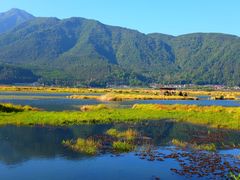 -腾冲北海湿地