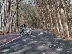 -艾溪湖湿地公园