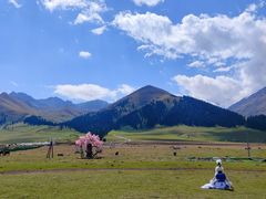 -新疆那拉提国家旅游度假区