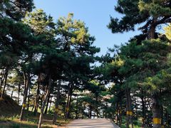 -鬼笑石后山停车场