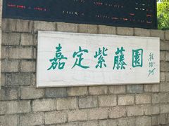 -嘉定紫藤园