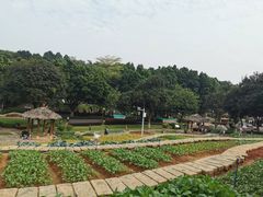 -天河儿童公园