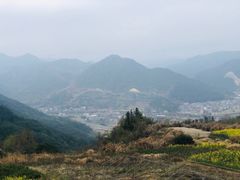 -桑洲油菜花景区