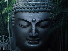 -杭州植物园