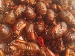 -农家小院(朱雀桥店)