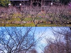 -三国水浒景区(无锡影视基地)