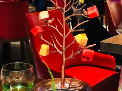 水果树-渔见·精品川菜·老坛酸菜鱼(大朗店)