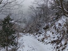 -九峰山