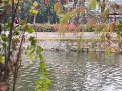 -荔湾湖公园