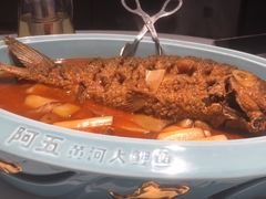 -阿五黄河大鲤鱼(英协路店)