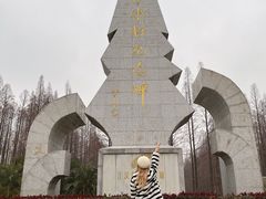 -水杉园