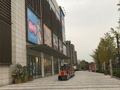 -新江湾城公园