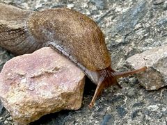 -东天目山风景区