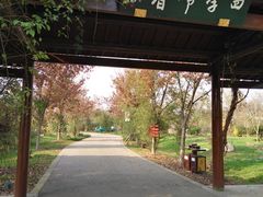 景点-鹅湖玫瑰文化园