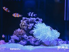 -瑞虹新天地月亮湾