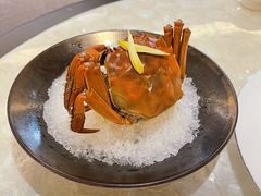 -人间采蜜(海信广场店)