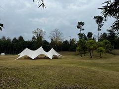 -桤木河湿地公园