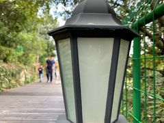 -树山生态村